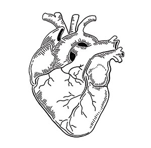 Heart Symbolism