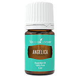 Angelica Essential Oil