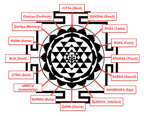 Sri Yantra Meaning 16 Lotus Petal