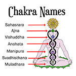 Sanskrit Chakra Names
