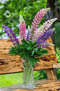 Lupine Flower Vase