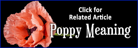 Poppy Article Link