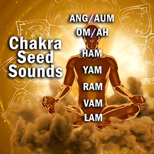 Chakra Seed Sounds on Seated Yogi