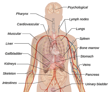 Body Symbolism Diagram