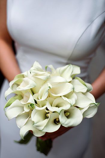 Calla Lilies Meaning Popular for Weddings