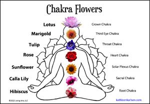 Chakra Flowers on Seated Yogi
