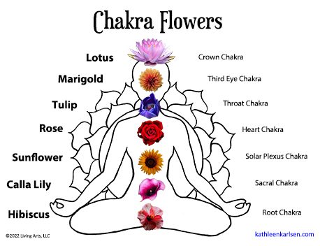 Chakra Flowers Seated Posture Pqz8f1alj6cfok9gtpb2g2kz0dj4tbfaj867ju2ubk 