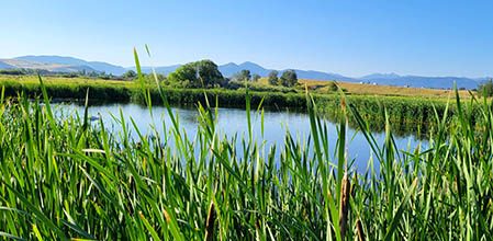 Cherry River Pond in Bozeman, Montana