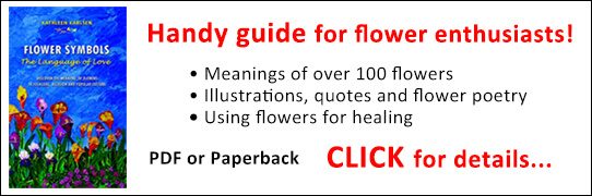 Flower Symbols Book