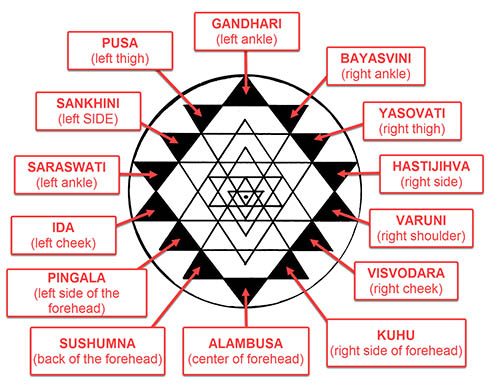 Sri Yantra Meaning 14 Outer Center Triangles