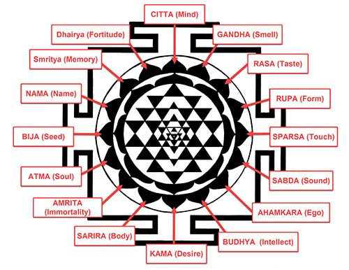 Sri Yantra Meaning 16 Lotus Petal