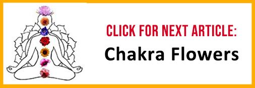 Chakra Flowers Article