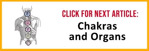 Chakras and Organs Article