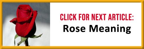 Rose Meaning