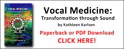 Vocal Medicine Book